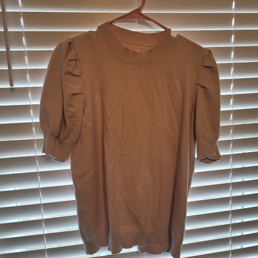 Elegant Tan Puff Sleeve Top